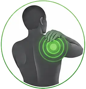 Supports Muscle Relaxation